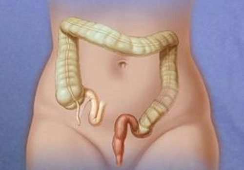 Dr. Neeraj Dhar's Hospital & Clinic Gallery - Image 10