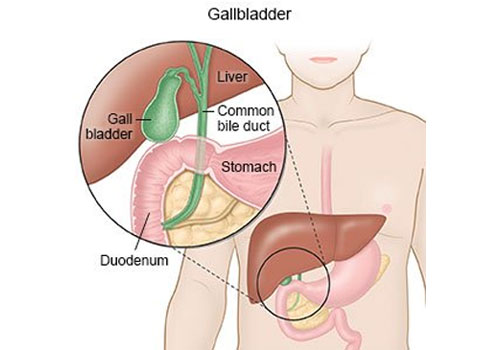 Dr. Neeraj Dhar's Hospital & Clinic Gallery - Image 12