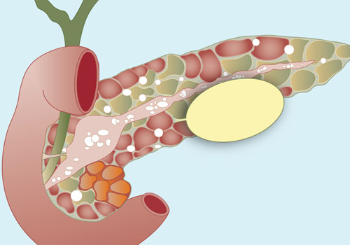 Dr. Neeraj Dhar's Hospital & Clinic Gallery - Image 14